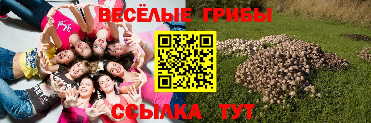 Галлюциногенные грибы Magic Shrooms  Вход с VPN  Осинники  Галлюциногенные грибы GOLDEN TEACHER 